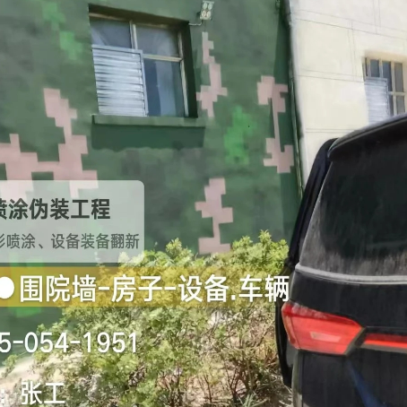 江门数码迷彩漆施工